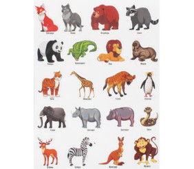 Набір магнітів "Дикі тварини"