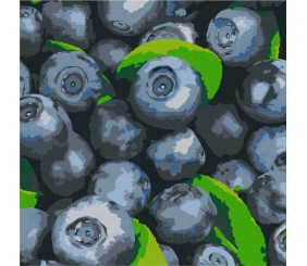 Картина за номерами "Соковита лохина" ★★★