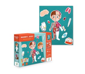 Навчальна гра "Магнітне тіло"