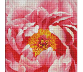 Алмазна мозаїка "Барвиста півонія" 40х40 см