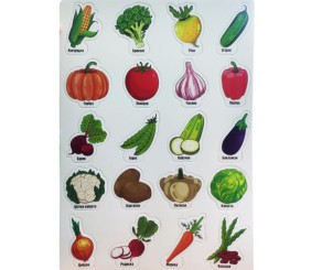 Набор магнитов "Овощи" (укр)