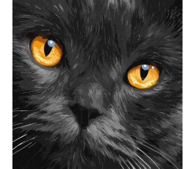 Картина за номерами "Бурштинові очі" ★★★