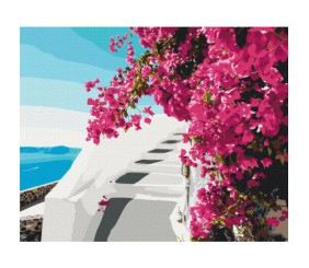 Картина за номерами "Квіти Санторіні" ★★★