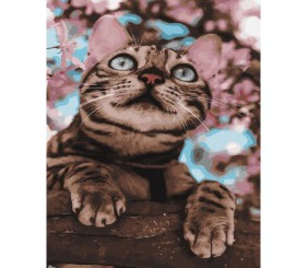 Картина за номерами "Пухнастий бешкетник" ★★★