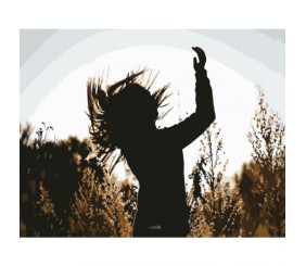 Картина за номерами "Свобода" ★★★