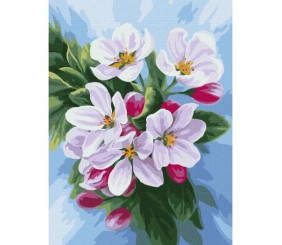 Картина по номерах "Цвітіння яблуні" 30х40 см