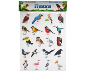 Набір магнітів "Птахи" на планшеті, 20 штук (укр)