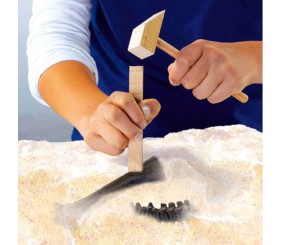 Набір Серії Дослідник - Розкопки Скелета Тиранозавра