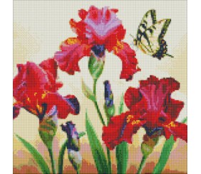 Алмазна мозаїка "Вишукані іриси"