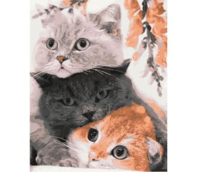 Картина по номерах "Три кота" 40x50 см