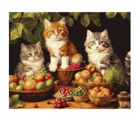 Картина за номерами "Котики і фрукти" 40х50 см