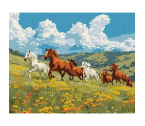 Картина за номерами "Сила і грація" 40х50 см