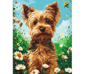 Картина по номерах "Йоркширский терьер" 40х50 см