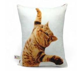 Подушка "Кіт летящий" 40х50