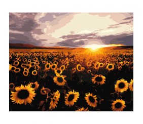 Картина по номерах "Поле соняшників" 40х50 см