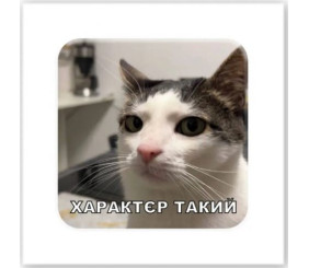 3D стікер "Характєр такий" (ціна за 1 стікер)