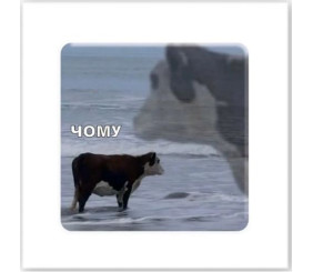 3D стікер "Чому" (ціна за 1 стікер)