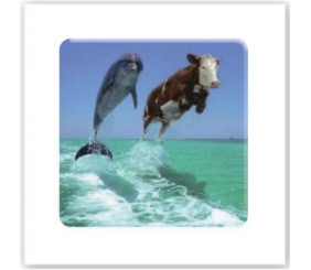 3D стікер "Два дельфіни" (ціна за 1 стікер)