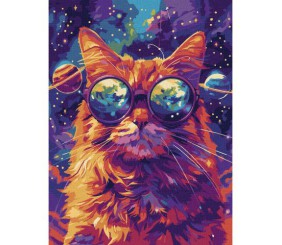 Картина по номерах "Зоряні окуляри" 30х40 см