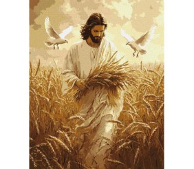 Картина за номерами "Жнива віри" 40х50 см