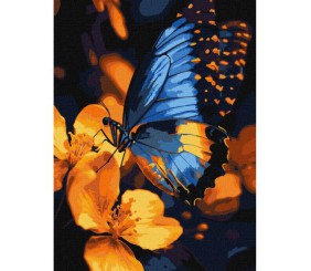 Картина по номерах "Мерехтіння крил" 30х40 см