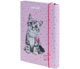 Папка для зошитів В5 на гумці картон, SP