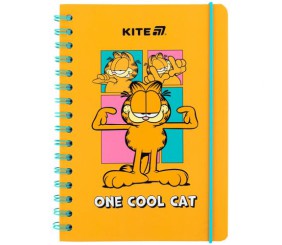 Блокнот на спіралі А5, 80 арк., кл., GF