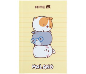 Книга записна тверда обкл. А6, 80арк. кл. ML