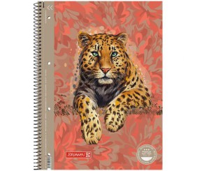 Коледж-блок А4 Premium, лінія, 80 арк. Safari