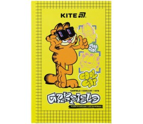 Книга записна тверда обкл. А6, 80арк. кл. GF