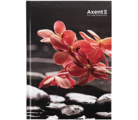 Книга записна тверда обкл. А5, 96 арк., кліт., R&B Flower