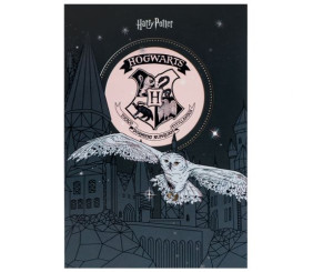 Блокнот-планшет, A5, 50арк, кл. HP-1