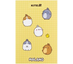 Блокнот, термобіндер А5, 64арк. ML