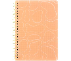 Блокнот на спіралі пласт. обкл., B6, 80 арк.,кл., поморанч.