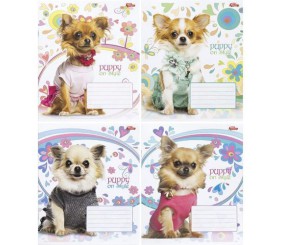 Зошит кольоровий 12 аркушів, клітинка (20 штук в упаковці)