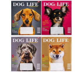 Зошит кольоровий 12 аркушів, клітинка (20 штук в упаковці)