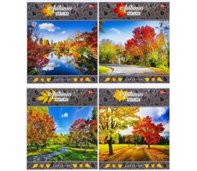 Зошит кольоровий 24 аркушів, клітинка (16 штук в упаковці)