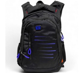 Рюкзак шкільний, 30х43х15 см (ЧОРНИЙ З СИНІМ)