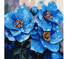 Набір для розпису по номерах "Фіалки щоранку" 30х30см