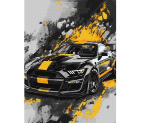 Набір для розпису по номерах "Спортивний стиль" 30х40см