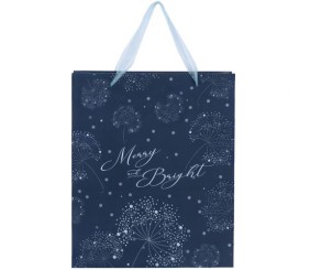 Пакет пластиковий подарунковий 25х19см, Flower Symphony-4