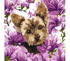 КАРТИНА ПО НОМЕРАХ "ЙОРК В МАГНОЛІЇ" 40Х40 СМ