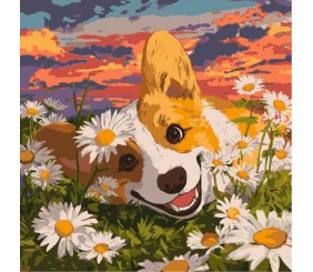 КАРТИНА ПО НОМЕРАХ "КОРГІ В РОМАШКАХ" 40Х40 СМ