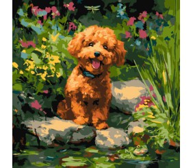 КАРТИНА ПО НОМЕРАХ "ПУДЕЛЬ НА СТАВКУ" 40Х40 СМ