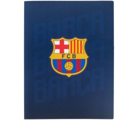 Дисплей-книга, А4, 20 файлів, BC