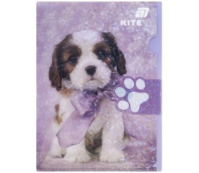 Папка-куточок з клапаном А4, R