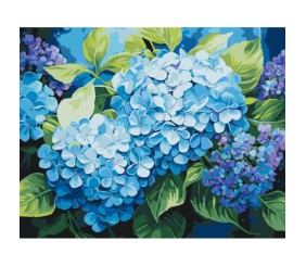Картина за номерами "Блакитна гортензія" 40*50 см