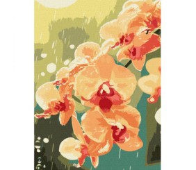 Картина за номерами "Орхідея в краплях" 30x40см