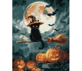 Картина за номерами "Маленький чаклун" 40х50 см