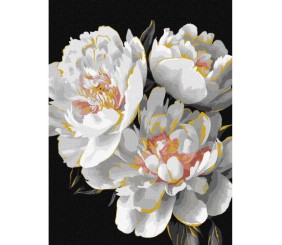 Картина за номерами з фарбами металік "Білосніжні бутони" 30х40см